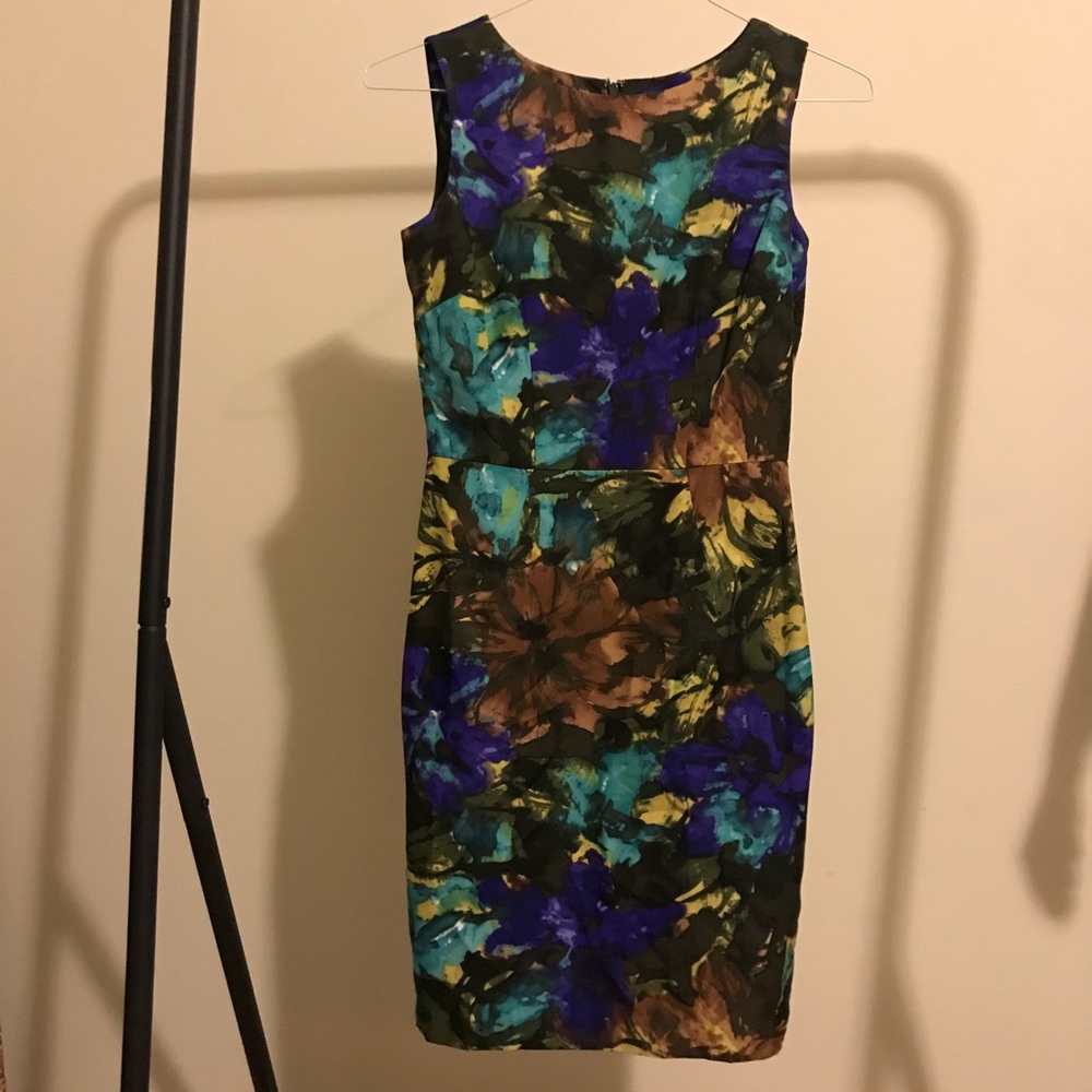 Like New Ellen Tracey Floral Print Dress
